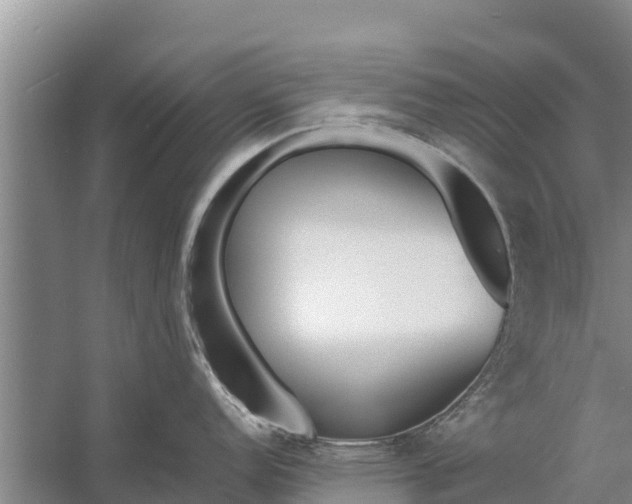 X0000058101152200510071840