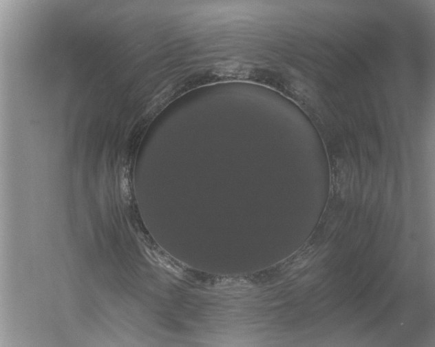 X0000058101154200510071839