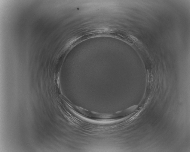X0000058101161200510071839
