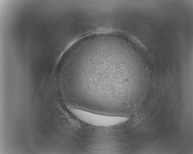 X0000058101208200510071838