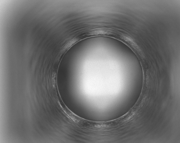 X0000058101233200510071838
