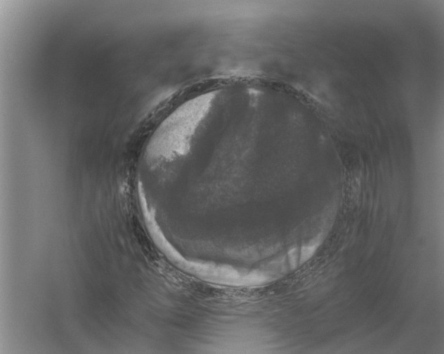 X0000058101254200510071838