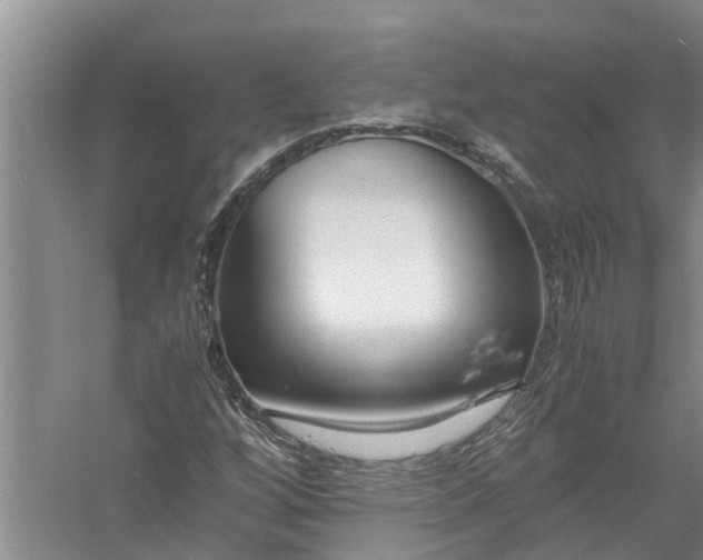 X0000058101256200510071838