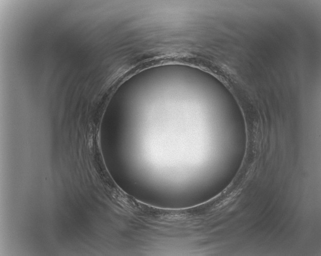 X0000058101257200510071838