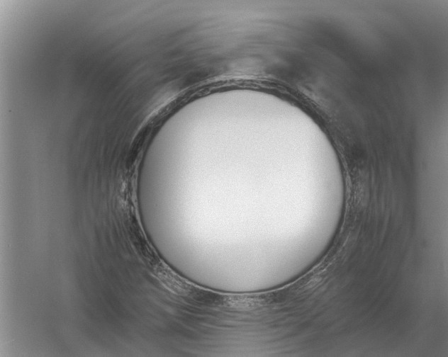X0000058101258200510071838
