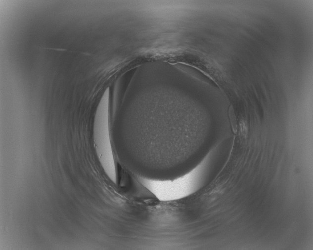 X0000058101300200510071836