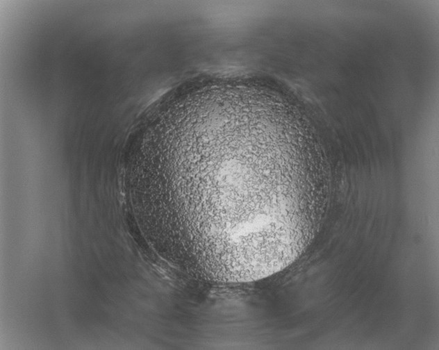 X0000058101301200510071836