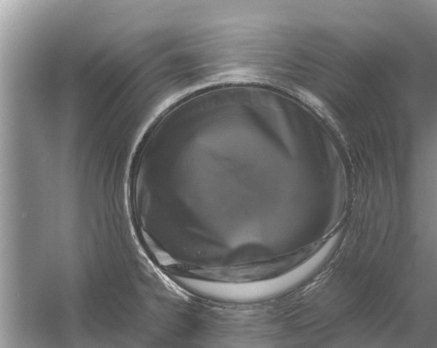 X0000058101334200510071837