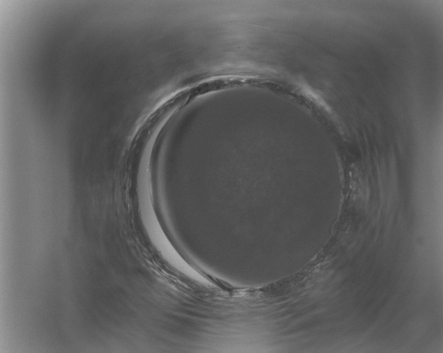 X0000058101352200510071836