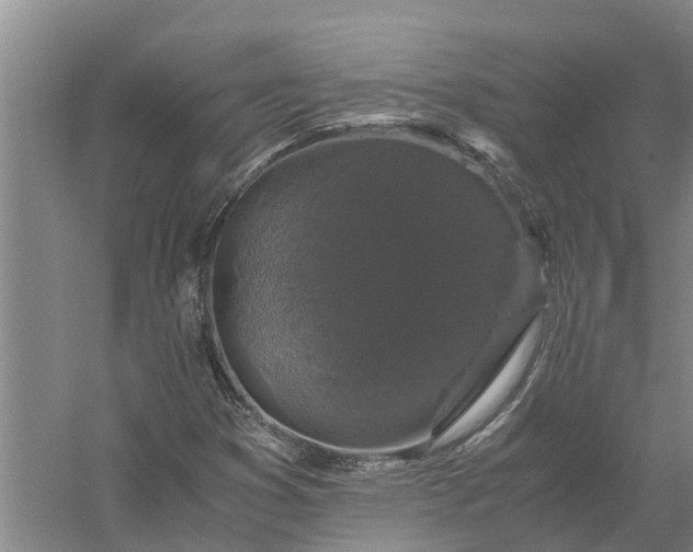 X0000058101353200510071836