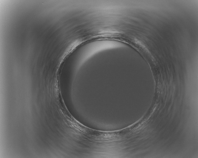 X0000058101362200510071836