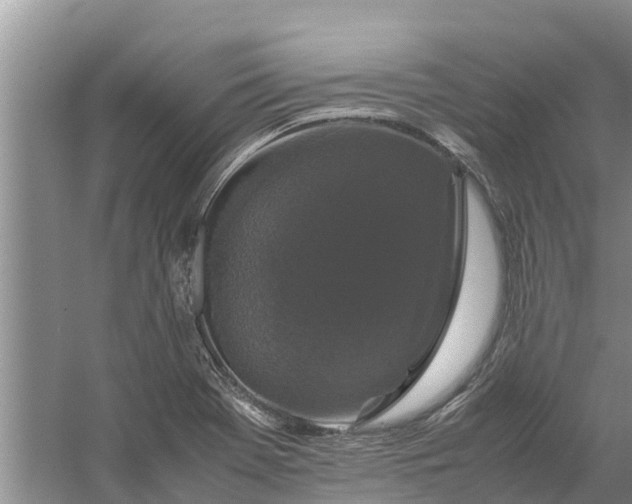 X0000058101369200510071836