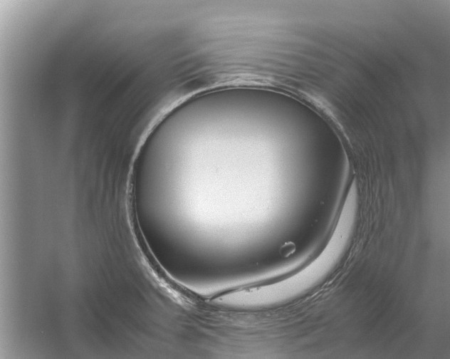 X0000058101379200510071836