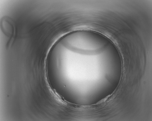 X0000058101392200510071835
