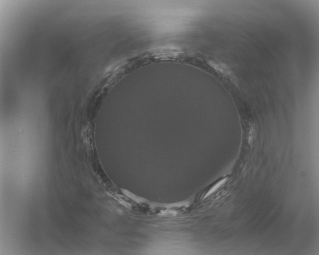 X0000058101445200510071835