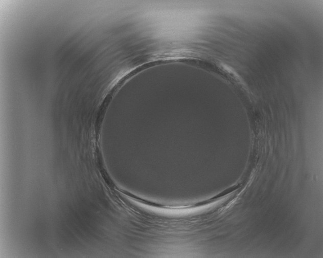 X0000058101457200510071834