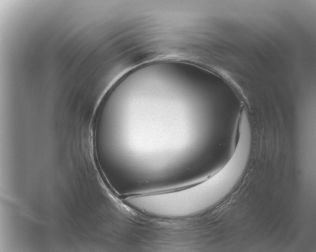 X0000058101476200510071834