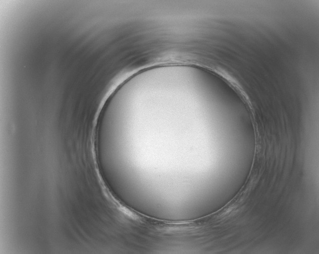 X0000058101486200510071834