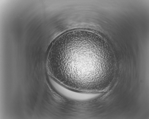 X0000058101505200510071833