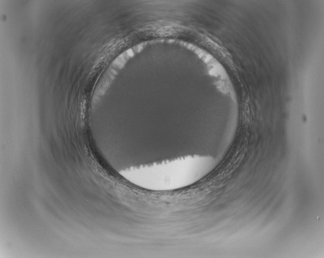 X0000058100018200510171230