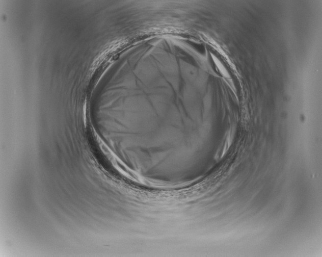 X0000058100019200510171230