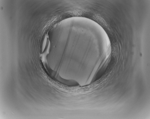 X0000058100023200510171230