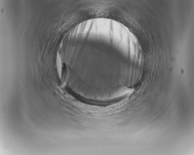 X0000058100039200510171230