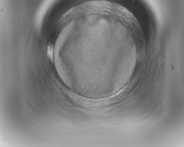 X0000058100047200510171230