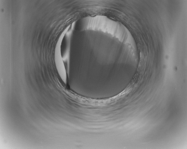 X0000058100048200510171229