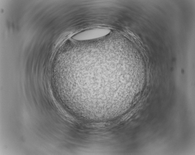 X0000058100049200510171229