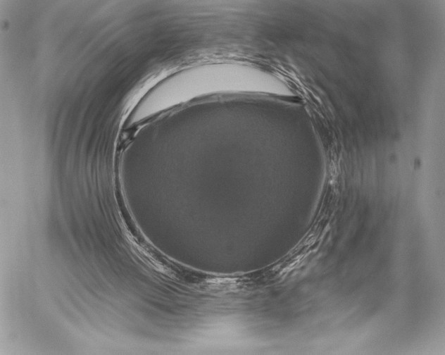 X0000058100052200510171229