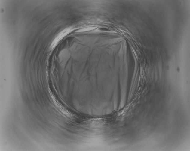 X0000058100054200510171229