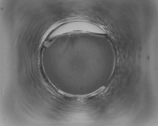 X0000058100056200510171229