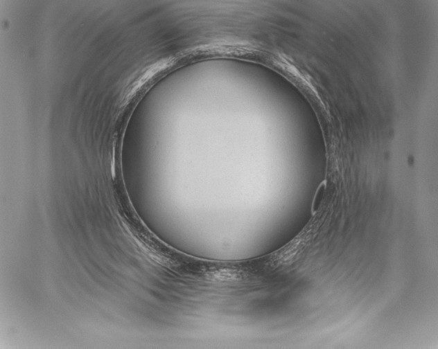 X0000058100062200510171229