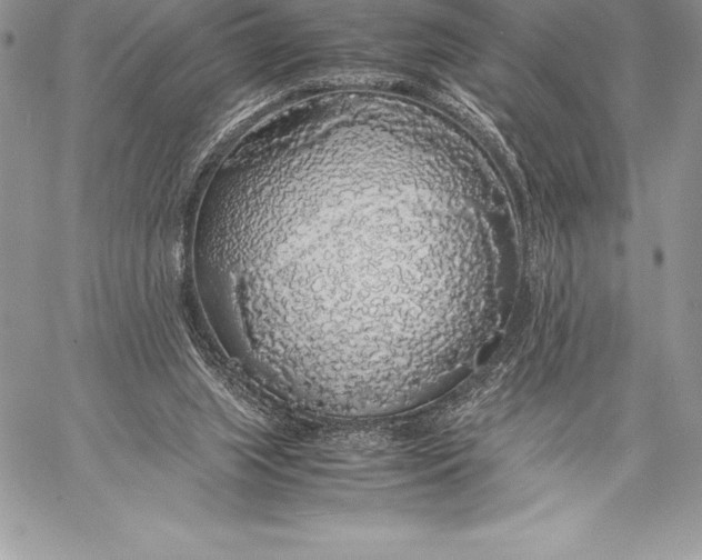 X0000058100063200510171229