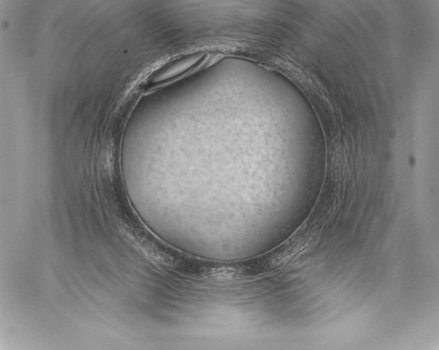 X0000058100064200510171229