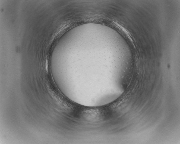 X0000058100067200510171229