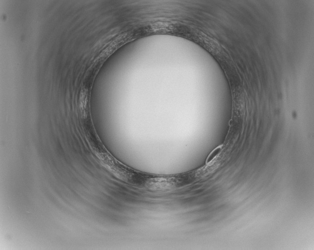 X0000058100082200510171229