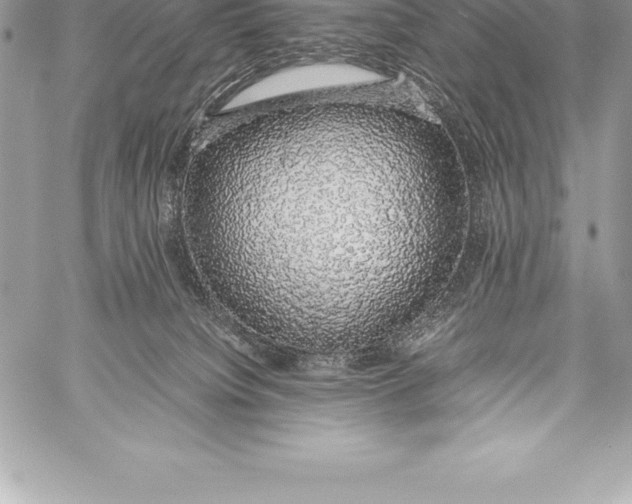 X0000058100084200510171229