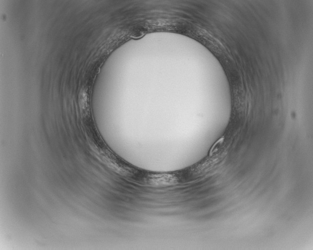 X0000058100087200510171229