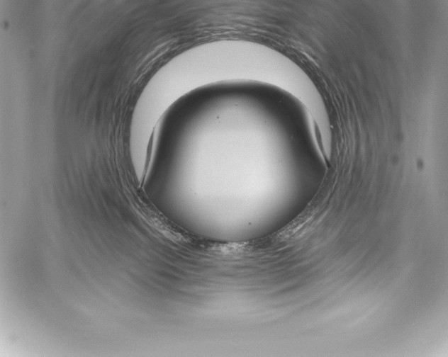 X0000058100092200510171229