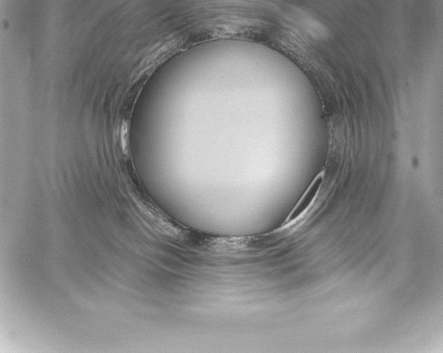 X0000058100094200510171229