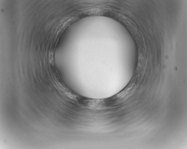 X0000058100096200510171229