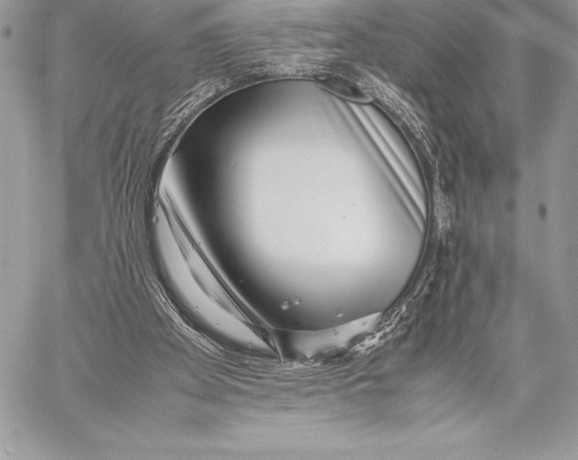 X0000058100105200510171229