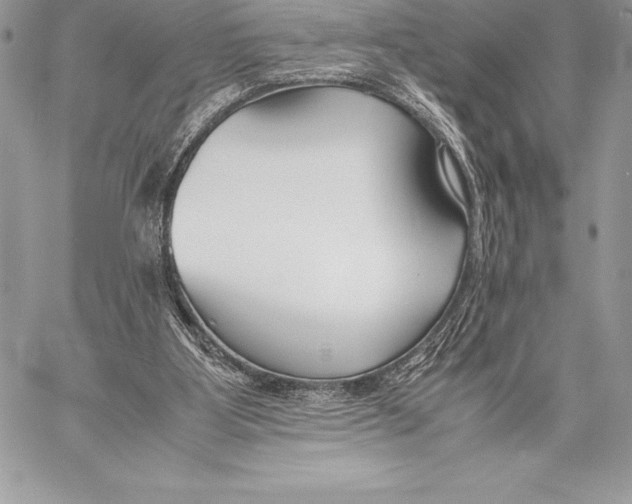 X0000058100107200510171229
