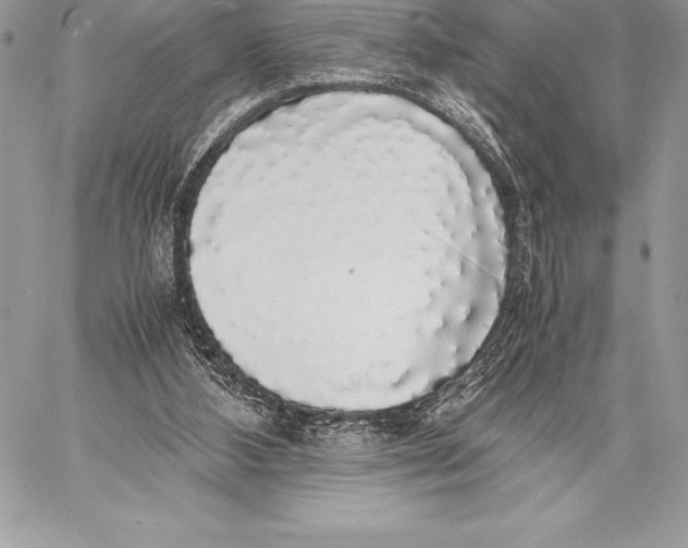 X0000058100108200510171228
