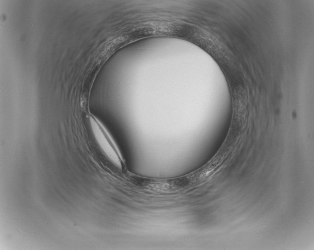 X0000058100123200510171228