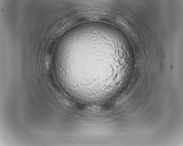 X0000058100125200510171228