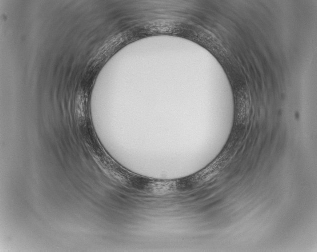 X0000058100126200510171228