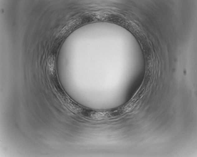 X0000058100129200510171228